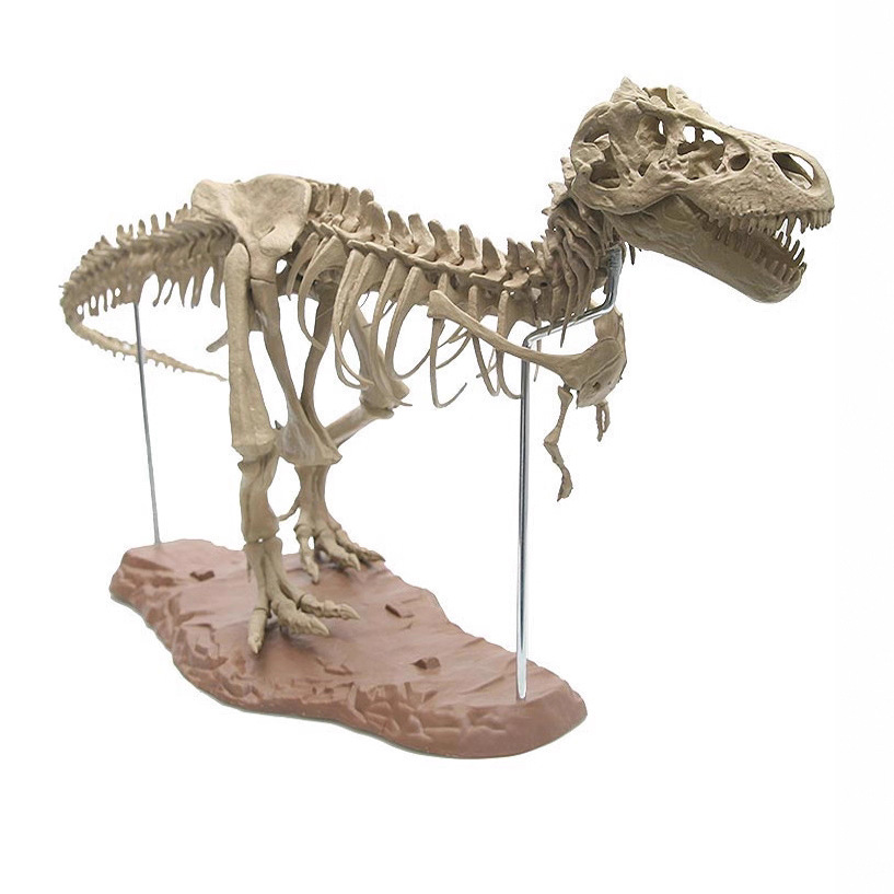 4D Büyük DIY Dinozor İskeleti  - Model Kit Jurassic Park incelemesi ve fiyatı