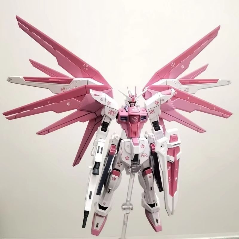 JMS HG 1/144 ZY-06 Özgürlük Sa - Bandai Model Gundam Hg incelemesi ve fiyatı